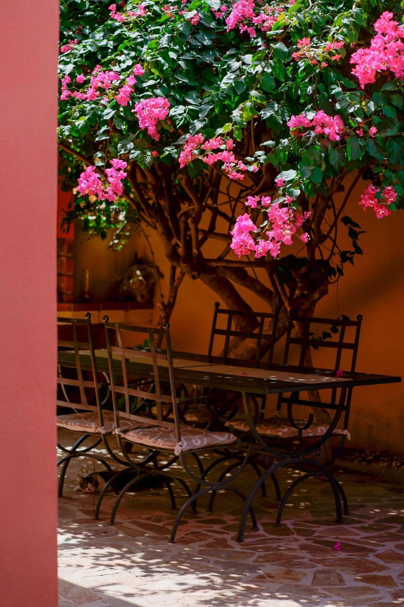 Il Piccolo Giardino Rooms & Breakfast Villasimius Exteriör bild